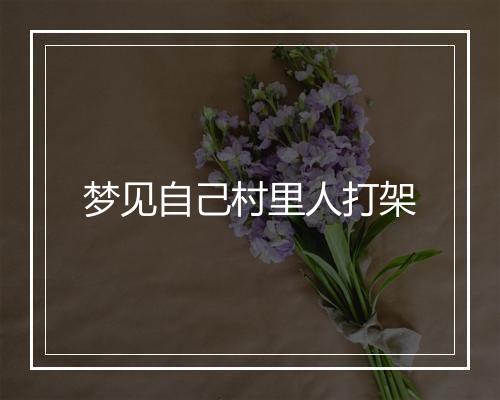 梦见自己村里人打架