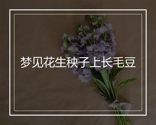 梦见花生秧子上长毛豆