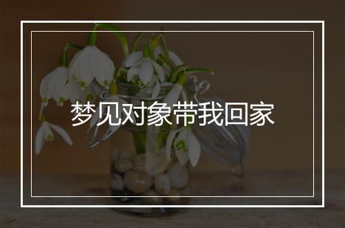 梦见对象带我回家