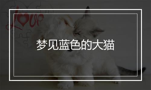 梦见蓝色的大猫