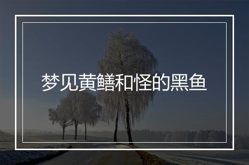 梦见黄鳝和怪的黑鱼