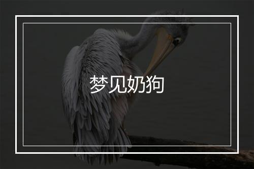 梦见奶狗