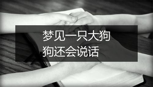 梦见一只大狗狗还会说话