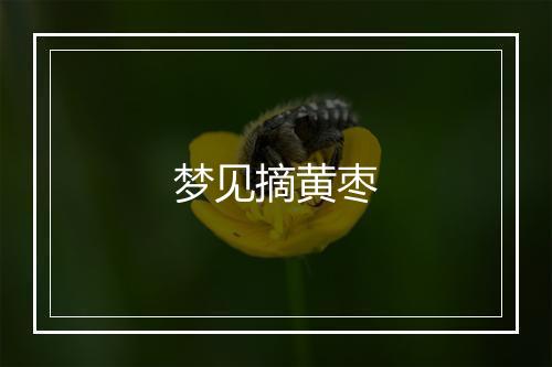 梦见摘黄枣