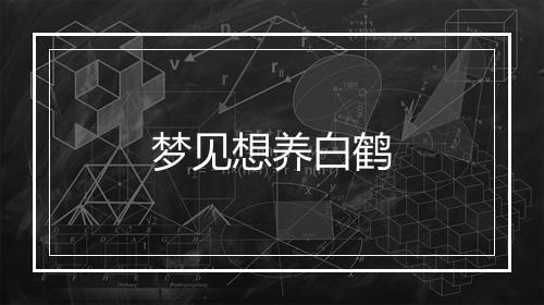 梦见想养白鹤