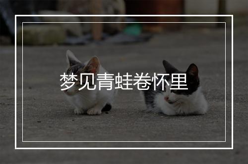 梦见青蛙卷怀里