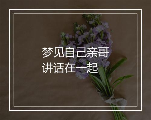 梦见自己亲哥讲话在一起