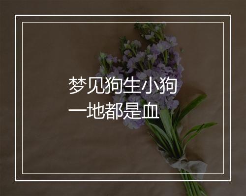 梦见狗生小狗一地都是血