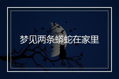 梦见两条蟒蛇在家里