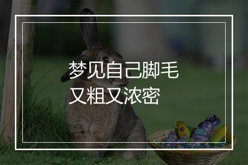 梦见自己脚毛又粗又浓密