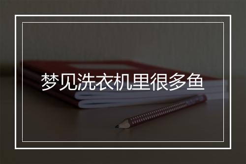 梦见洗衣机里很多鱼