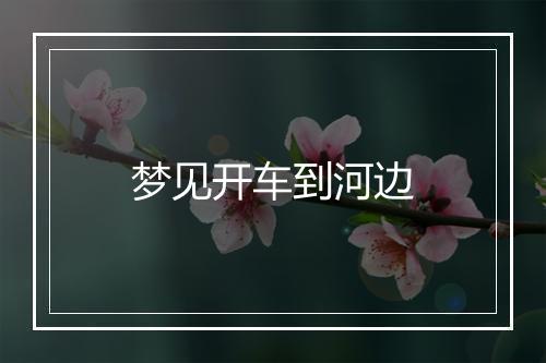 梦见开车到河边