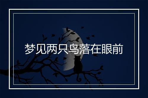 梦见两只鸟落在眼前