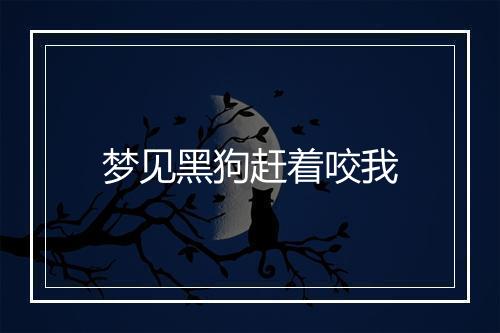 梦见黑狗赶着咬我