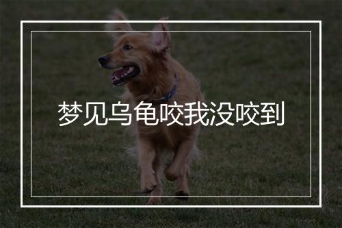 梦见乌龟咬我没咬到