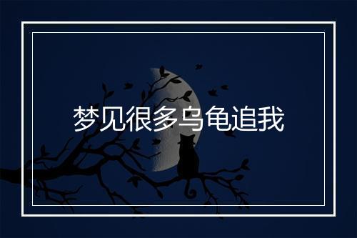 梦见很多乌龟追我