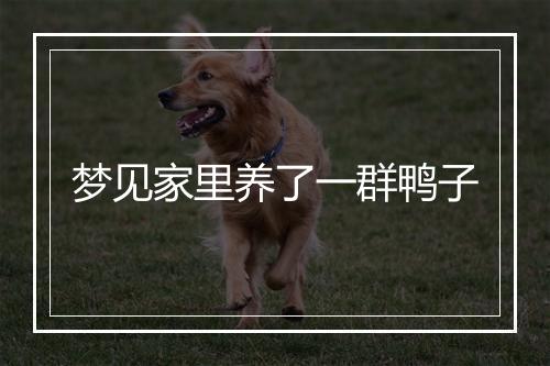 梦见家里养了一群鸭子