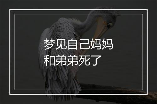 梦见自己妈妈和弟弟死了