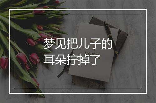 梦见把儿子的耳朵拧掉了