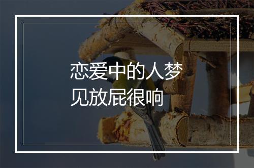 恋爱中的人梦见放屁很响