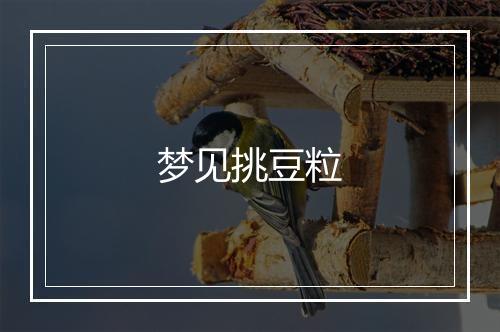 梦见挑豆粒