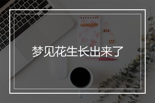 梦见花生长出来了