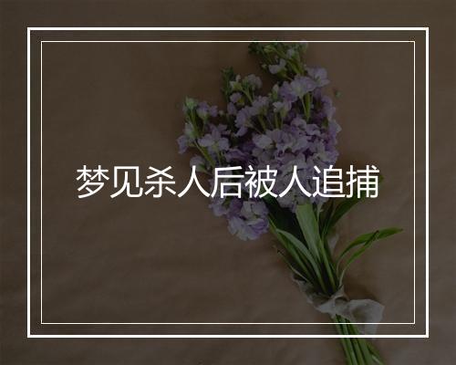 梦见杀人后被人追捕