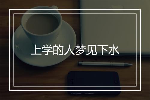 上学的人梦见下水