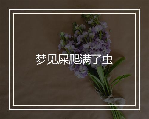 梦见屎爬满了虫