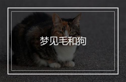 梦见毛和狗