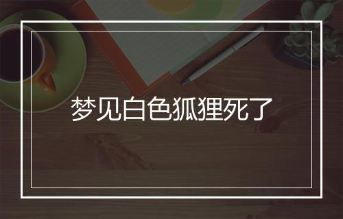 梦见白色狐狸死了