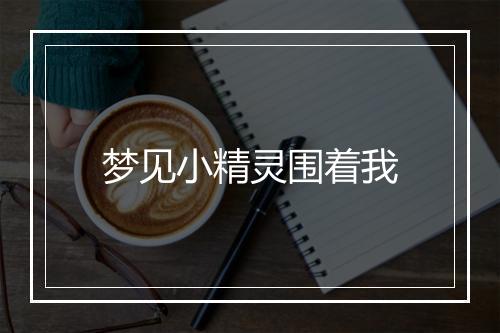 梦见小精灵围着我