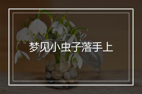 梦见小虫子落手上