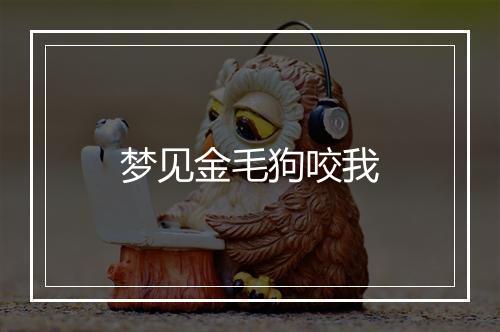 梦见金毛狗咬我