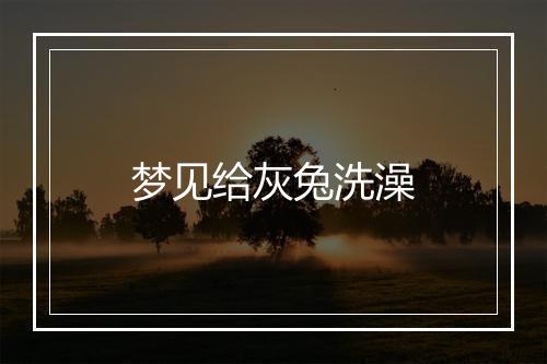 梦见给灰兔洗澡