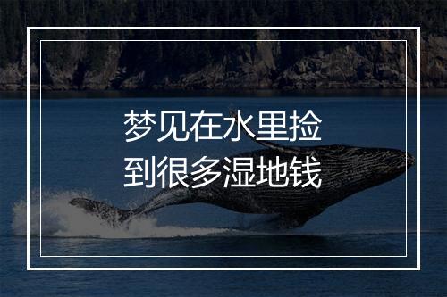 梦见在水里捡到很多湿地钱