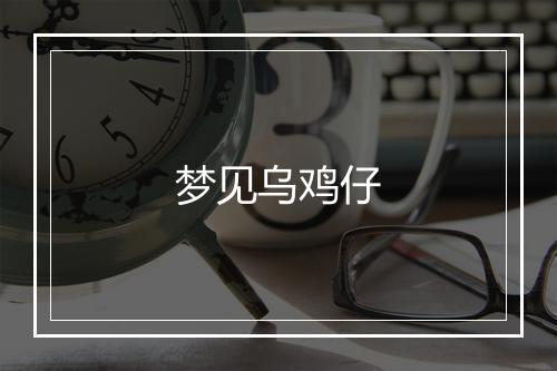 梦见乌鸡仔