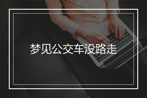 梦见公交车没路走