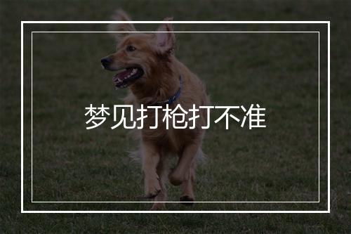 梦见打枪打不准