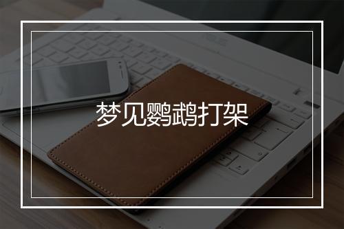 梦见鹦鹉打架