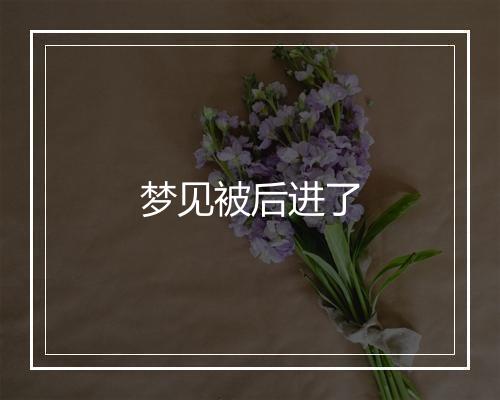 梦见被后进了