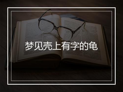 梦见壳上有字的龟