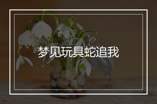 梦见玩具蛇追我