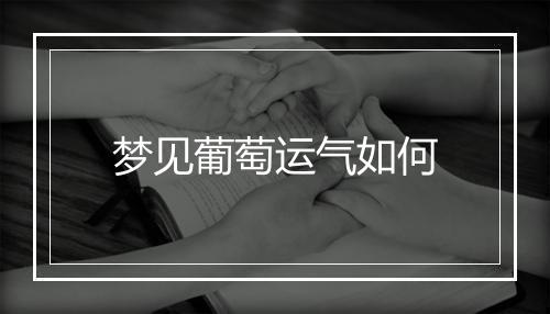 梦见葡萄运气如何