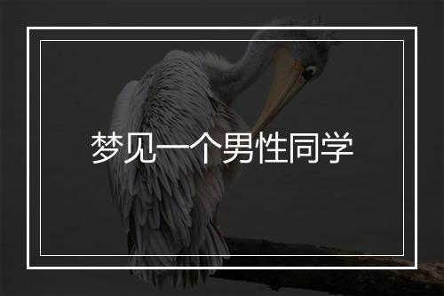 梦见一个男性同学