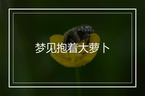 梦见抱着大萝卜