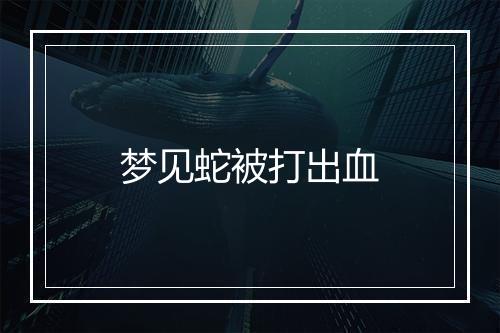 梦见蛇被打出血