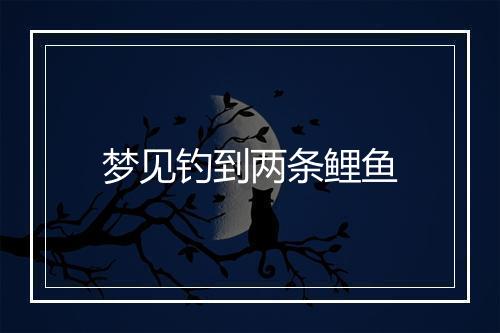 梦见钓到两条鲤鱼