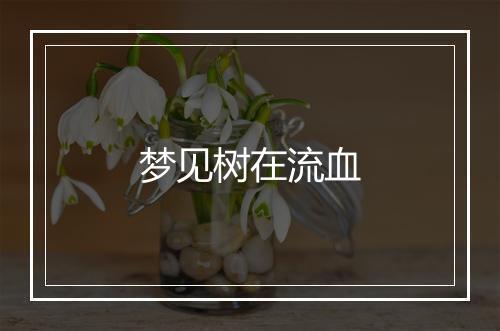 梦见树在流血