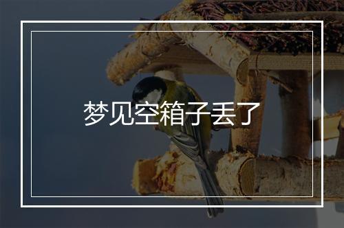 梦见空箱子丢了